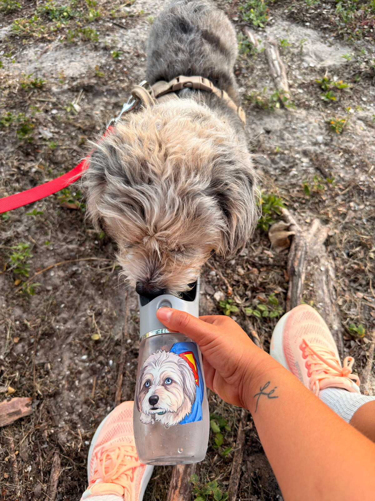 Custom Dog Water Bottle, Personalized Portable Pet Travel Dispenser, Cartoon Portrait From Photo