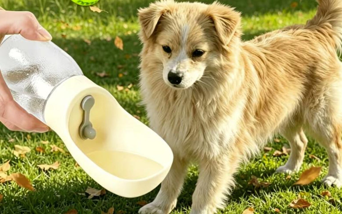 Custom Dog Water Bottle, Personalized Portable Pet Travel Dispenser, Cartoon Portrait From Photo